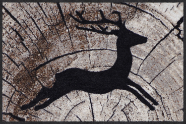 Fussmatte Passing Deer 50x75cm