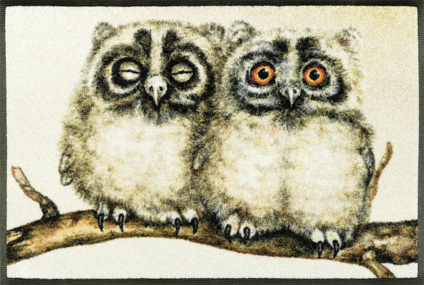 Fussmatte Two Owls 50x75cm