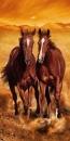 Strandtuch Arizona Horses 76x152cm